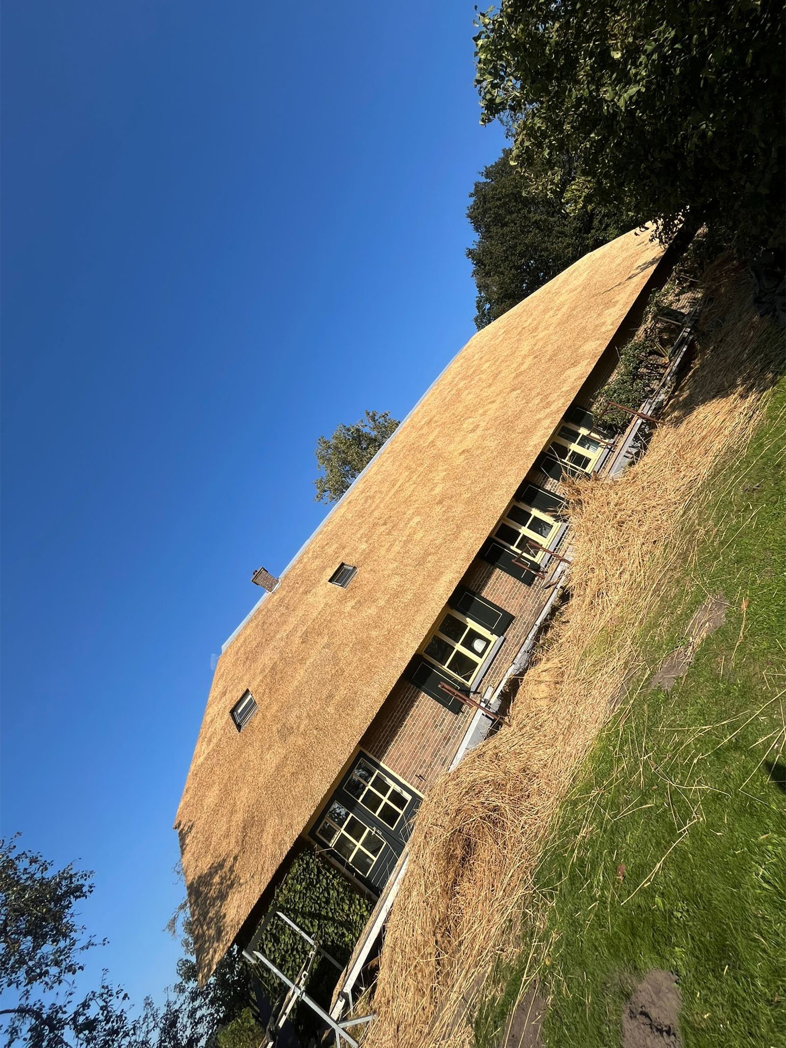 Salland rietdekkersbedrijf_0003_d1501b53-a7ed-4dd8-93a2-79c70d5b78c6