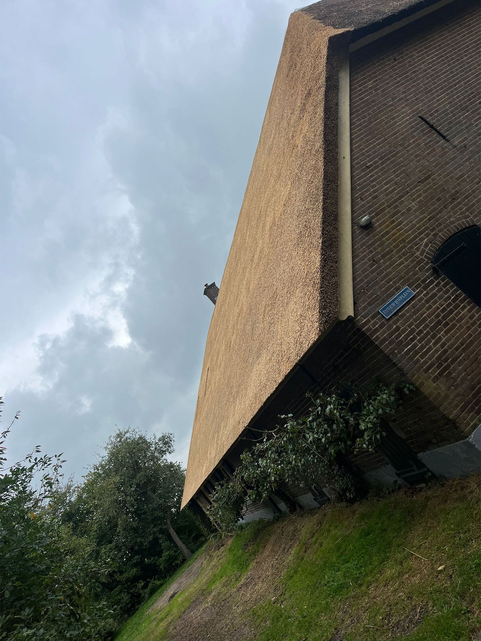 Salland rietdekkersbedrijf_0004_5616f3ff-f5fa-4940-912d-2b3a7a93e94c